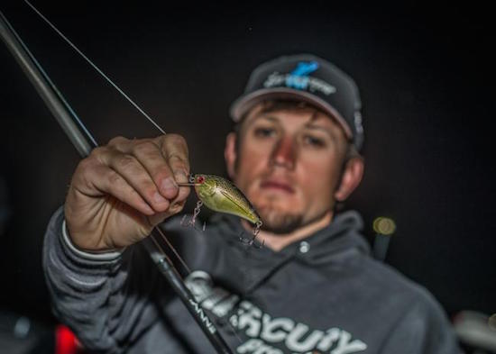 Gallery: Top 10 Baits from Toho
