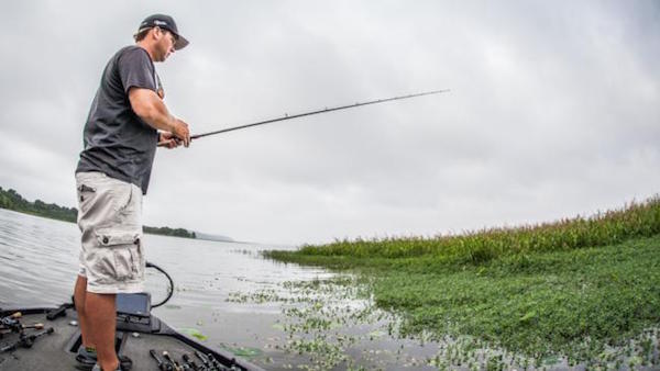 Shad Spawn, Grass Could be a Factor – FLW -May 13, 2015  by Jody White