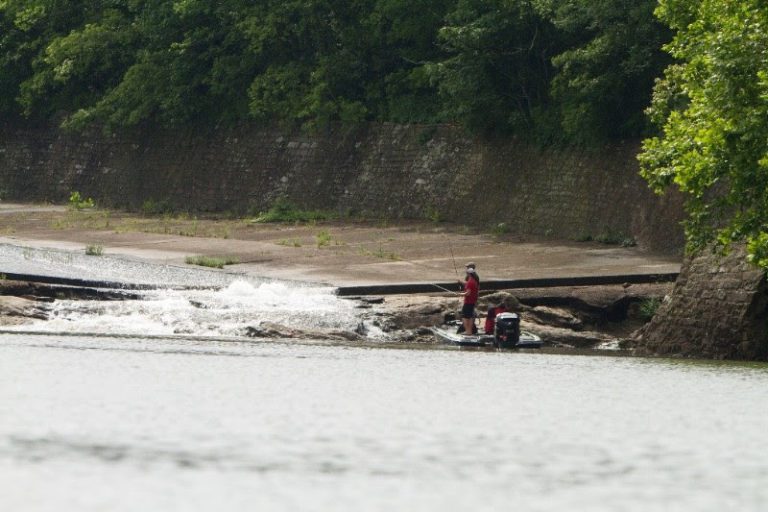 Late Fall In Tennessee Could Make Bassmaster Open On Douglas Lake Challenging