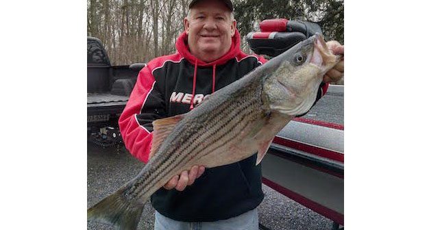 Smith Mountain Lake Fishing Report February 2015