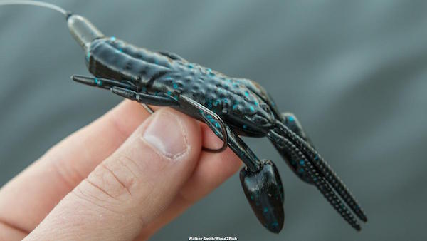 Berkley Powerbait Fight'n Bug Review Walker Smith