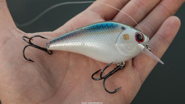 Lucky Craft LC DRS Crankbait Review Walker Smith Editor