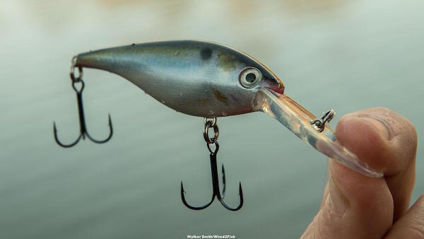 Strike King Pro Model Lucky Shad Review Walker SmithEditor