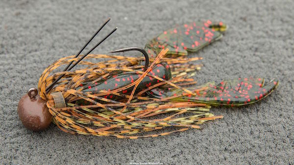 NetBait Mad Paca Review by Walker Smith