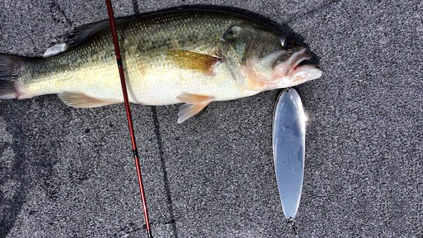 Nichols Ben Parker Magnum Spoon  Review by Jason Sealock