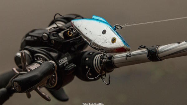 Bill Lewis Rat-L-Trap Review by Walker Smith