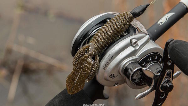 Reins Punching Predator Review by Walker Smith