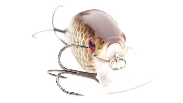 XCalibur XCS Square Lip Crankbait Review By Walker Smith