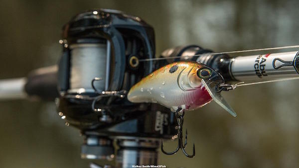 Jackall Aska SR Crankbait Review Walker Smith