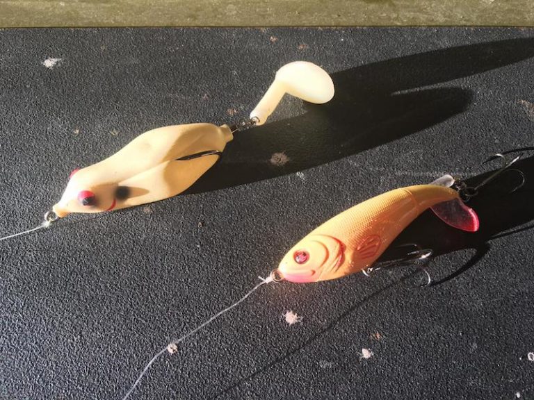 The Sprinker vs the Plopper by Chase Tanner June 29,2017