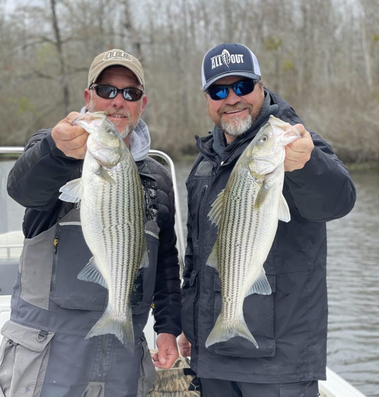 Roanoke River/Albermarle Sound April Fishing Report by Capt. Scooter Lilley