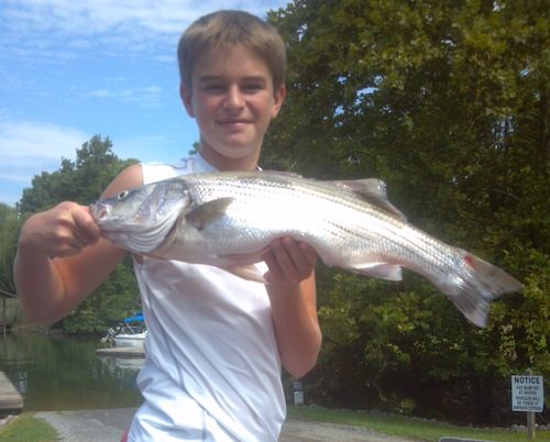 Smith Mountain Lake Fishing Report – November 2013