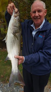 SMITH MOUNTAIN LAKE FISHING REPORT November 2015 DALE WILSON’S