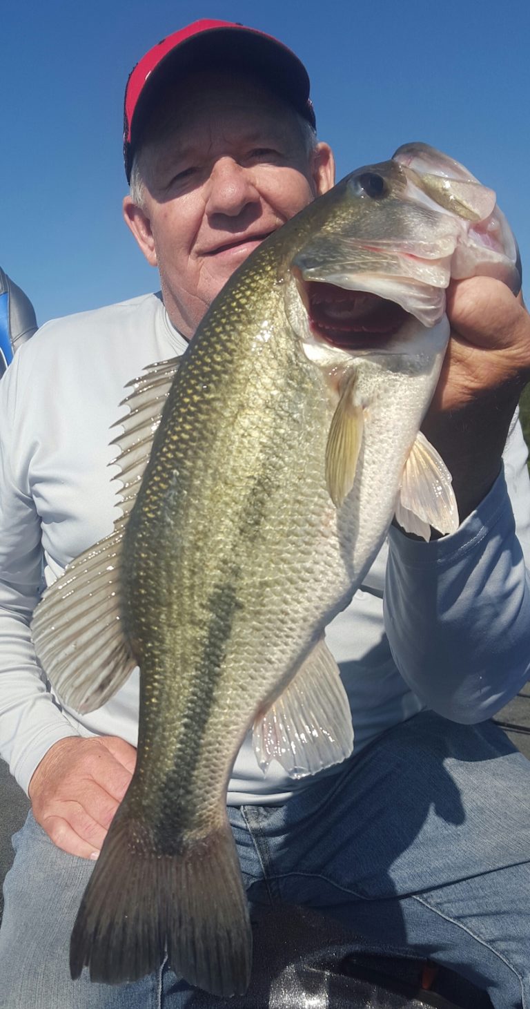 Smith Mountain Lake July 2018 Fishing Report By Captain Dale Wilson