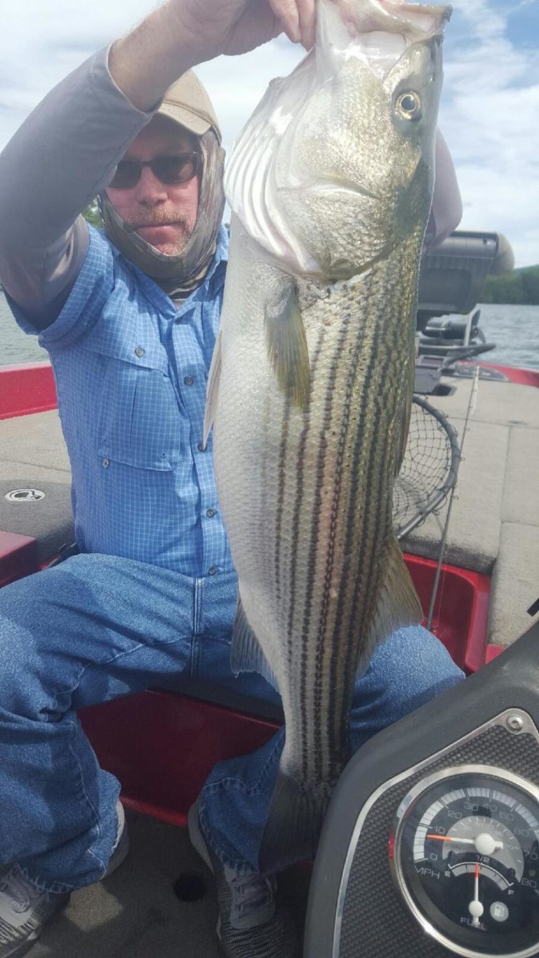 Smith Mountain Lake Fishing Report November 2018 by  Captain Dale Wilson