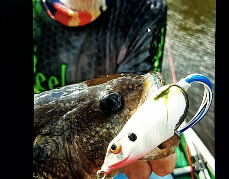 The Art of Topwater: Living Out the Dream by Bruce Callis