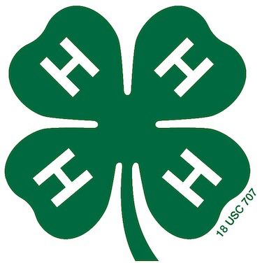 Fishing Camp Volunteers Needed – HOLIDAY LAKE 4-H EDUCATIONAL CENTER, INC. – 2013