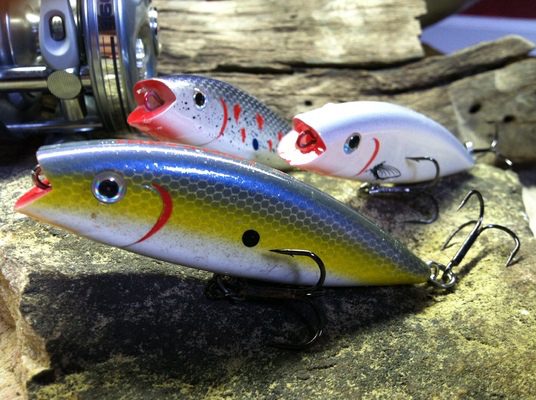 Spy Baiting with a Depth Charge  Posted by Mark Bilbrey