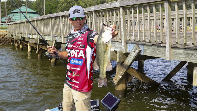 How to Choose Soft Plastics for Bass Fishing by David A Brown