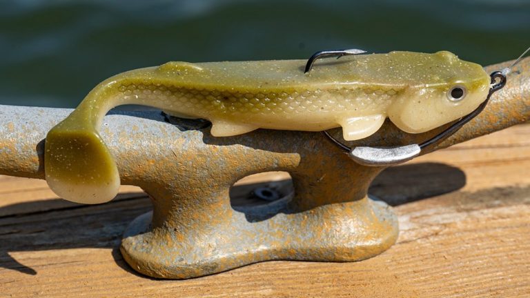 Lunkerhunt Fetch Swimbait Review By Jason Sealock