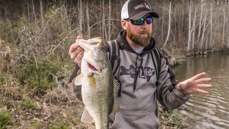 Avoid this Mistake when Fishing from the Bank – By Walker Smith