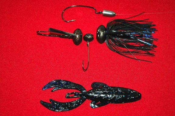 Fight Your Way To Bigger and Better Bass  By: Scott M. Petersen – Big Bite Baits F