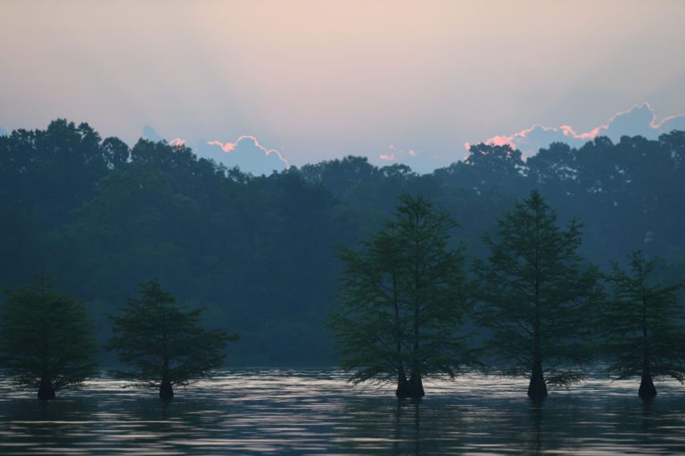 Fall Bonanza Could Await Bassmaster Elite Anglers At Chickamauga Lake