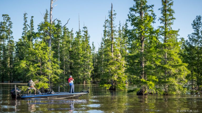 Santee Cooper Set to Host MLF Toyota Series Southern Division Tournament