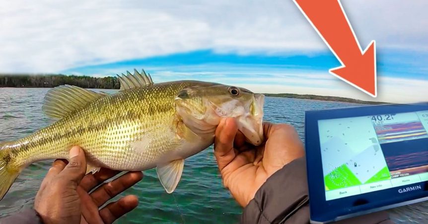 Learn How To Catch Offshore Bass From A Professional Angler! – MTB