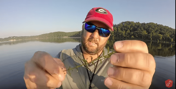 Bass Fishing – Day on The Lake – Developing a Pattern By Gene Jensen