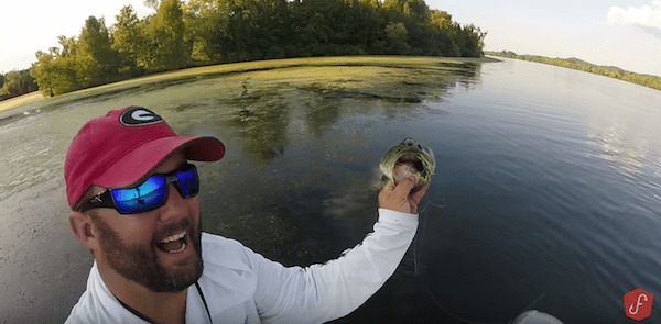 Bass Fishing Matted Grass with Hollow Body Frogs by Gene Jensen