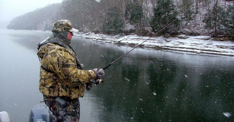 Best Winter Bass Lures: 4 Finesse Lures That You Should Be Fishing