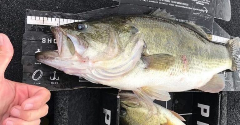 Rain Rain Go Away – 4 Hacks For Fishing In The Rain