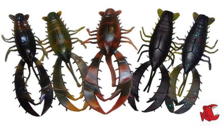 Catch More Fish with Craws – Big Bite Baits