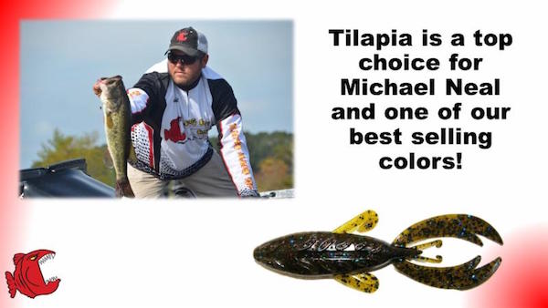Big Bite Baits News Letter #7 /2016 /The Fighting Frog