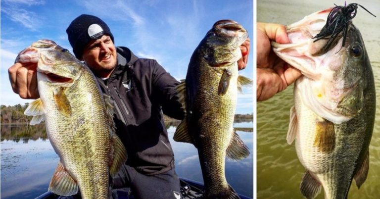 Fishing Structure: 3 Tips For Targeting Offshore Bass