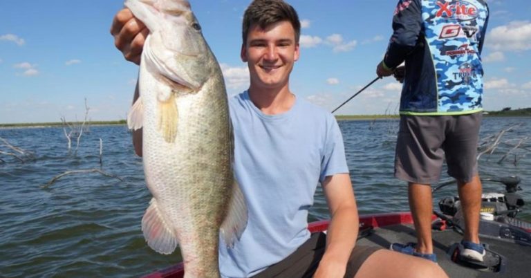 3 Jointed Stickbait Tips For Catching Bass On Top, All Year Round – MTB