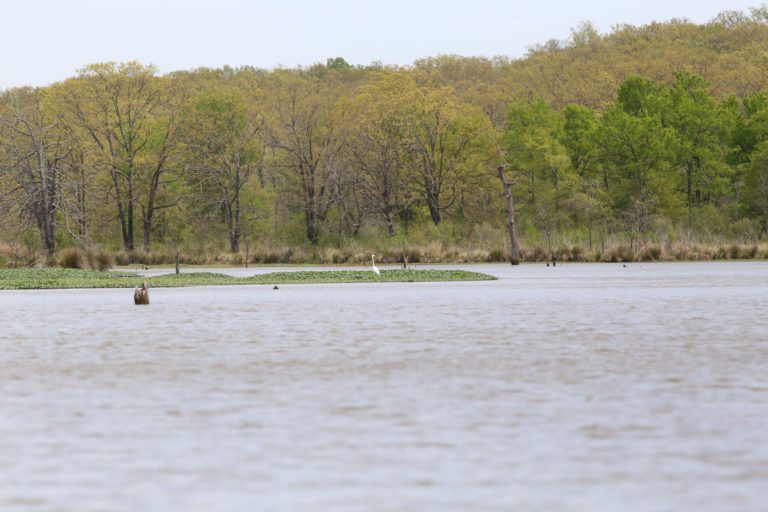 Water Flow To Play Significant Role In Bassmaster Central Open On Arkansas River