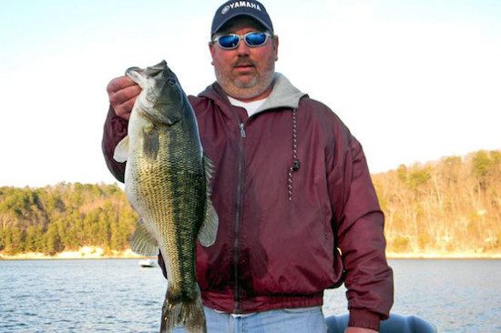 Chickamauga Spotted Bass to Also be Recognized as State Record