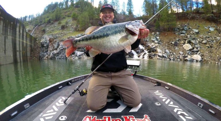 Potential world record spot caught December 19, 2016  BASSMASTER.com