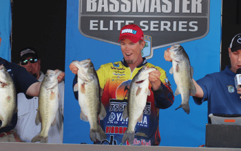 Combs Signs with BLV Landscaping