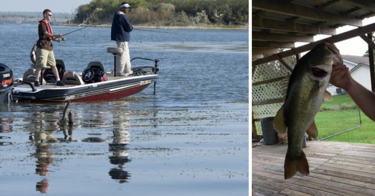 Ledge Fishing: Summer Solutions For Catching The Big Ones Out Deep – MTB