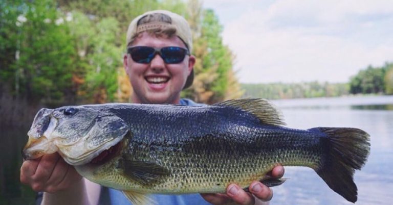 Jerkbait Mods: Rigs And Tips For Soft Jerkbaits – Mystery Tackle Box