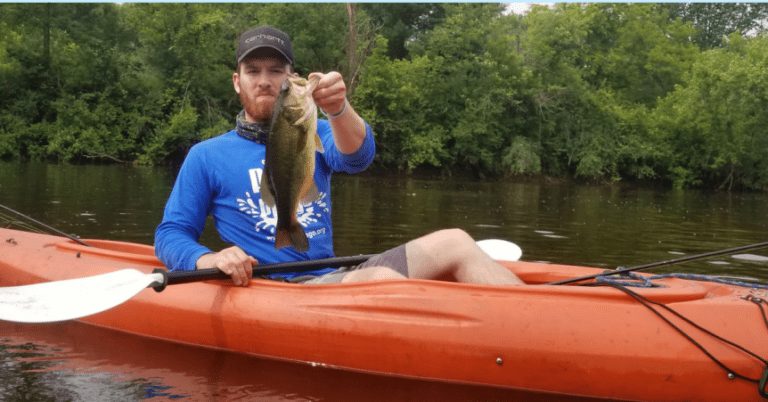 Bass Cover – Where Are The Bass Hiding Throughout The Seasons? – MTB