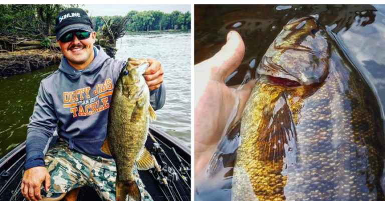 Summer Smallmouth Bass Fishing In Lakes Vs Rivers Vs Reservoirs – MTB