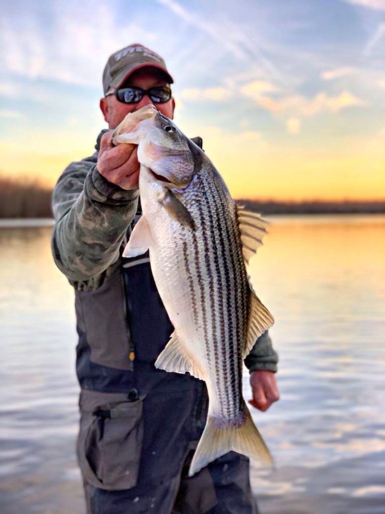 January Lower Roanoke River/Albermarle Sound Lake Report by Capt. Scooter Lilley