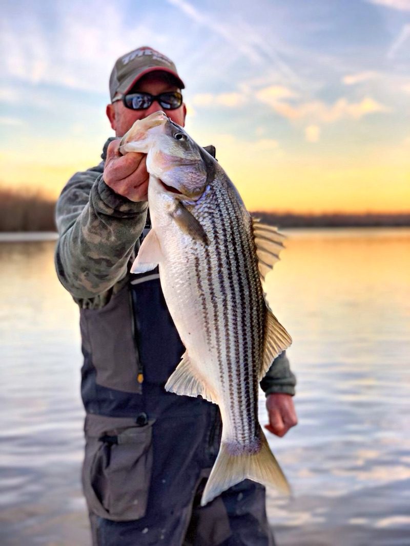 January Lower Roanoke River/Albermarle Sound Lake Report by Capt. Scooter  Lilley