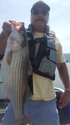 Smith Mountain Lake Fishing Report August 2016 by Dale Wilson