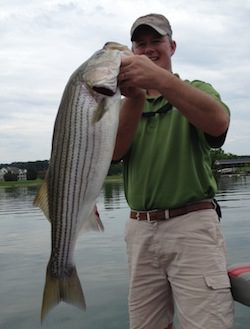 August 2013 – Smith Mountain Lake Fishing Report
