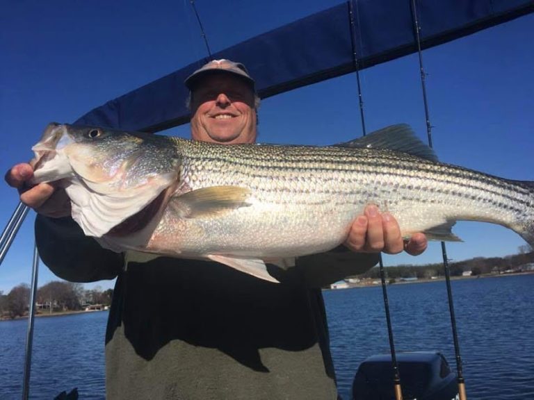 Smith Mountain Lake Fishing Report January 2020 by Captain Dale Wilson